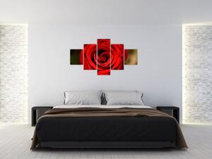 Detail ruže - obraz (Obraz 125x70cm)