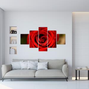 Detail ruže - obraz (Obraz 125x70cm)