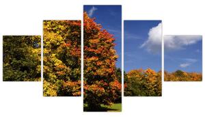 Jesenné stromy - obraz do bytu (Obraz 125x70cm)