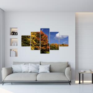 Jesenné stromy - obraz do bytu (Obraz 125x70cm)