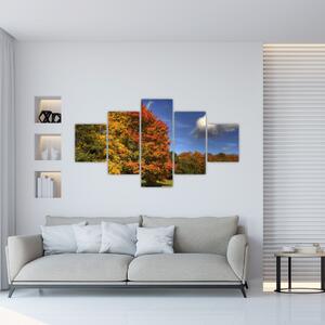 Jesenné stromy - obraz (Obraz 125x70cm)