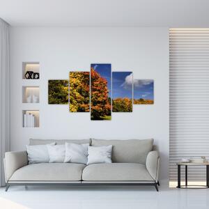 Jesenné stromy - moderný obraz (Obraz 125x70cm)