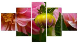 Obraz kvetu rastliny (Obraz 125x70cm)
