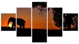 Obraz slona v prírode (Obraz 125x70cm)