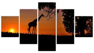 Obraz žirafy v prírode (Obraz 125x70cm)