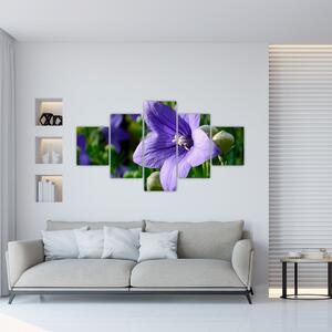 Kvety - obraz (Obraz 125x70cm)