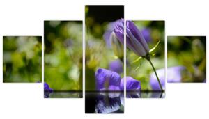 Modrá kvetina - obraz (Obraz 125x70cm)