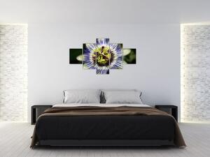 Obrazy kvetov (Obraz 125x70cm)