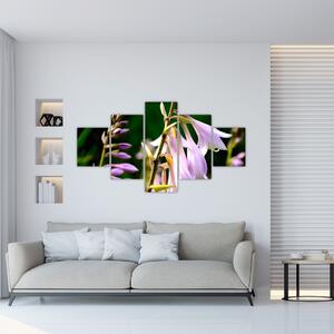 Kvety - obraz (Obraz 125x70cm)