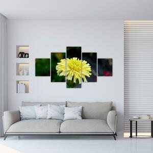 Obrazy kvetiny (Obraz 125x70cm)