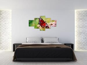 Motýľ - obraz (Obraz 125x70cm)