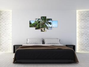 Palma - obraz (Obraz 125x70cm)