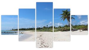 Exotická pláž - obraz (Obraz 125x70cm)
