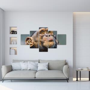 Opica - obrazy (Obraz 125x70cm)
