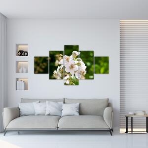 Kvetina - obraz (Obraz 125x70cm)