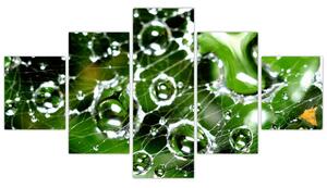 Kvapky vody - obrazy (Obraz 125x70cm)