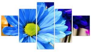 Modrá chryzantéma - obrazy (Obraz 125x70cm)