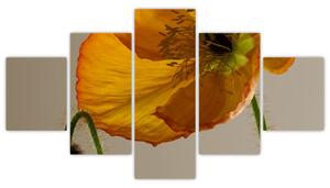 Žltý kvet - obraz (Obraz 125x70cm)
