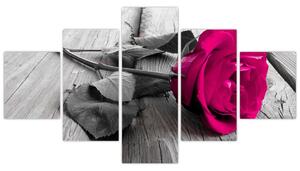 Ruže fialová - obraz (Obraz 125x70cm)