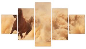 Cválajúci kôň - obraz (Obraz 125x70cm)