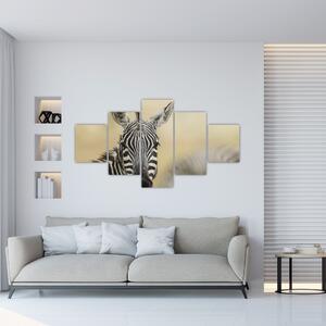Zebra - obraz (Obraz 125x70cm)