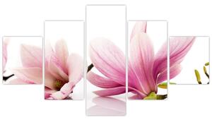 Kvetina - obraz (Obraz 125x70cm)