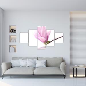 Kvet - obraz (Obraz 125x70cm)