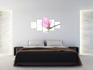 Kvet - obraz (Obraz 125x70cm)