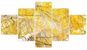Jesenné lístie - moderný obraz (Obraz 125x70cm)