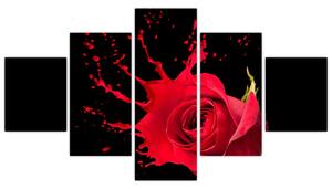 Abstraktný obraz ruža - obraz (Obraz 125x70cm)