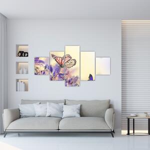 Motýle - obraz (Obraz 125x70cm)