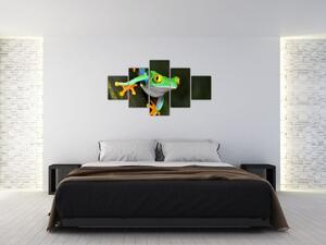 Žaba - obraz (Obraz 125x70cm)