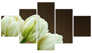Tulipány - obraz (Obraz 125x70cm)