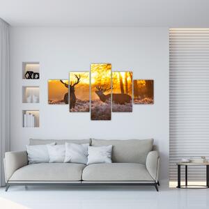 Jelene - obraz (Obraz 125x70cm)