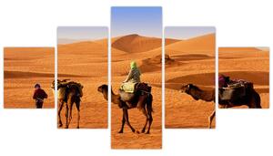 Ťavy v púšti - obraz (Obraz 125x70cm)