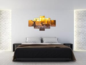 Jelene - obraz (Obraz 125x70cm)