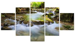 Rieka v lese - obraz (Obraz 125x70cm)
