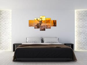 Jelen - obraz (Obraz 125x70cm)