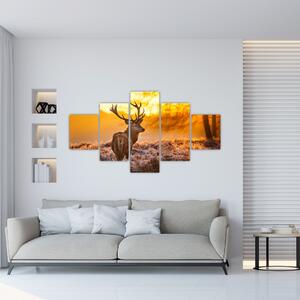 Jelen - obraz (Obraz 125x70cm)