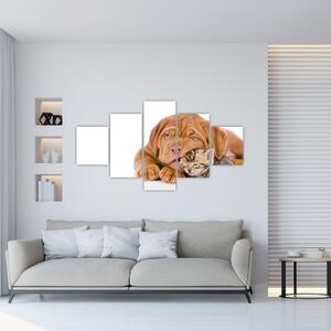 Šteňa a mačiatko - obraz (Obraz 125x70cm)