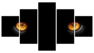 Zvieracie oči - obraz (Obraz 125x70cm)