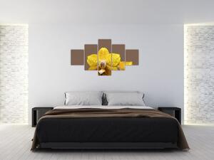 Žltá orchidea - obraz (Obraz 125x70cm)