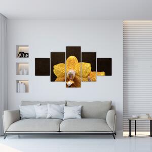 Obraz orchidey (Obraz 125x70cm)