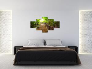 Schody v lese - obraz (Obraz 125x70cm)