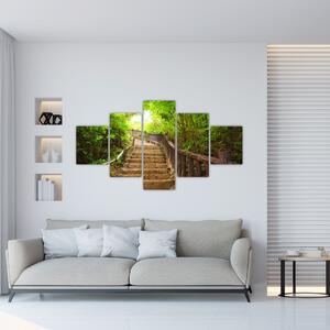 Schody v lese - obraz (Obraz 125x70cm)