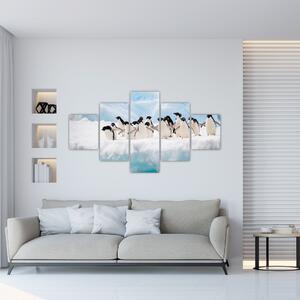 Tučniaci - obraz (Obraz 125x70cm)