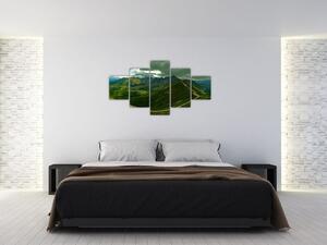 Panorama krajiny - obraz (Obraz 125x70cm)