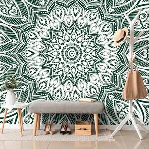 Tapeta Mandala harmónie na zelenom pozadí