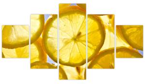 Plátky citrónov - obraz (Obraz 125x70cm)