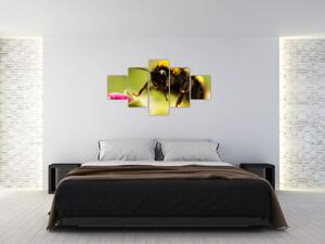 Včela - obraz (Obraz 125x70cm)